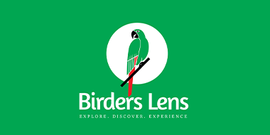 Birders Lens
